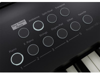 <b>Roland FP-E50 COM SACO ALMOFADADO ROLAND CB-B88V2, ESTANTE PARTITURAS E PEDAL SUSTAIN ROLAND DP-2</b> <b>Roland FP-E50 COM SACO ALMOFADADO ROLAND CB-B88V2, ESTANTE PARTITURAS E PEDAL SUSTAIN ROLAND DP-2</b>